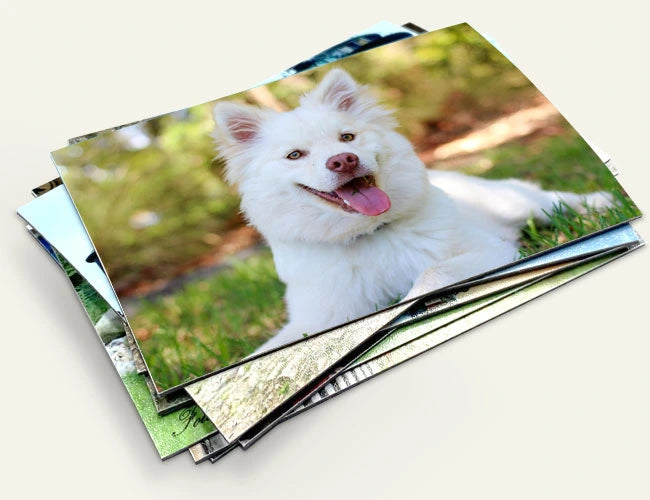 Magneti Foto - set de 4 bucati la 10x7 cm - Sentimente Gravate